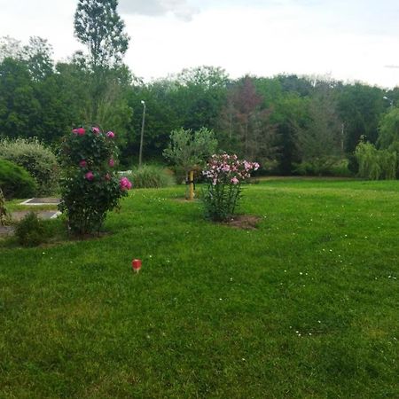 Chambre Avec Entree Independante Dans Un Ecrin De Verdure Dommartin  Extérieur photo