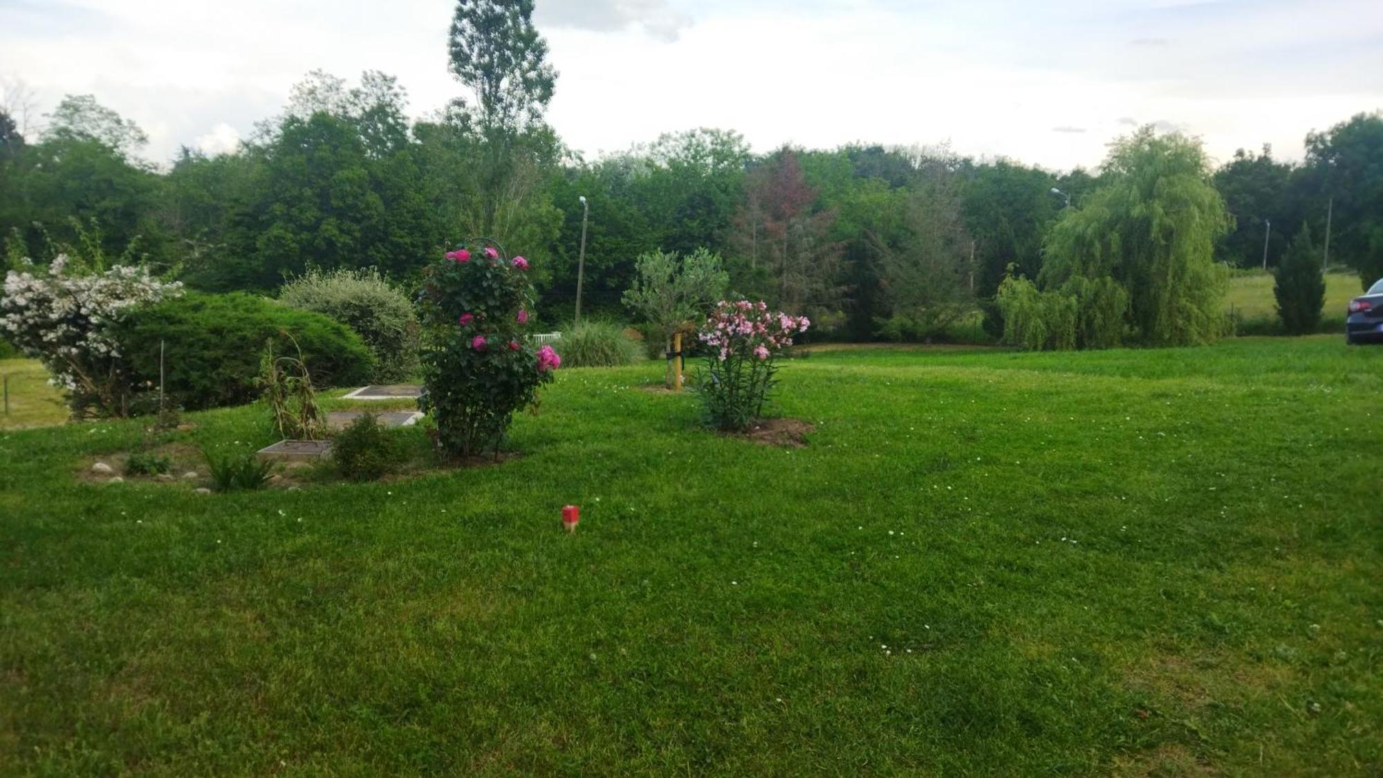 Chambre Avec Entree Independante Dans Un Ecrin De Verdure Dommartin  Extérieur photo